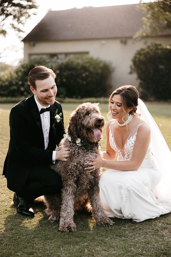 The bride and groom with a dog.